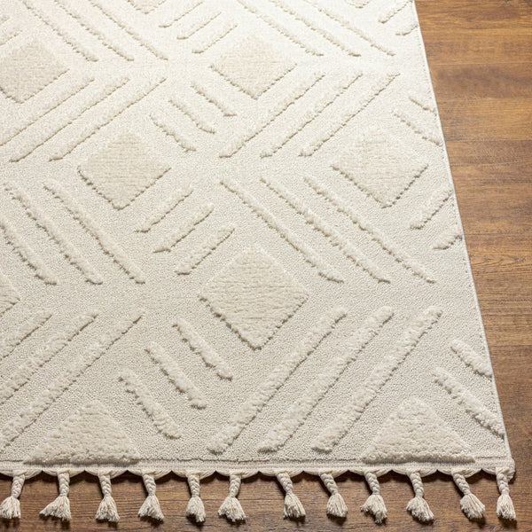 Livabliss Nora High Pile Polypropylene Area Rug Turkish Woven Fringe Trim Boho Living Room NOA2306-679