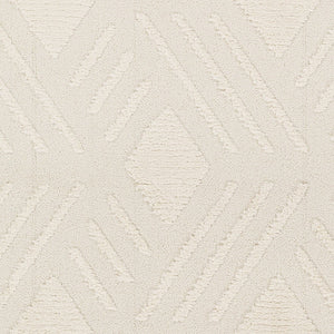 Livabliss Nora High Pile Polypropylene Area Rug Turkish Woven Fringe Trim Boho Living Room NOA2306-679
