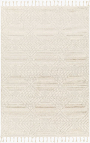 Livabliss Nora Bohemian Global Fringe Area Rug High Pile Polypropylene for Living Bedroom Light Gray, Cre 5'3" x 7' NOA2307-537