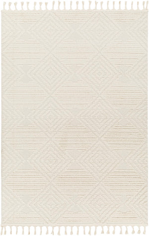 Nora NOA-2307 5'3" x 7' Machine Woven Rug NOA2307-537 Livabliss Surya