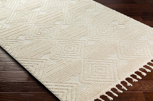 Livabliss Nora Bohemian Global Fringe Area Rug High Pile Polypropylene for Living Bedroom Light Gray, Cre 5'3" x 7' NOA2307-537