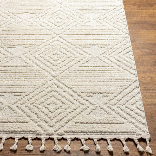 Livabliss Nora Bohemian Global Fringe Area Rug High Pile Polypropylene for Living Bedroom Light Gray, Cre 5'3" x 7' NOA2307-537