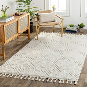 Livabliss Nora Bohemian Global Fringe Area Rug High Pile Polypropylene for Living Bedroom Light Gray, Cre 5'3" x 7' NOA2307-537