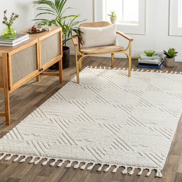 Livabliss Nora Bohemian Global Fringe Area Rug High Pile Polypropylene for Living Bedroom Light Gray, Cre 5'3" x 7' NOA2307-537