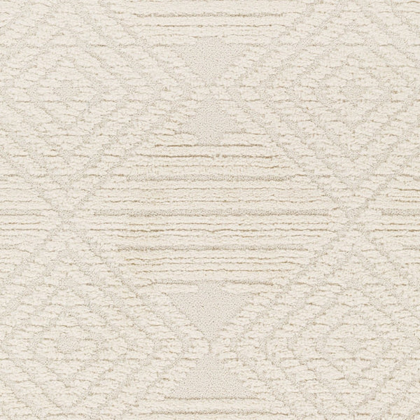 Livabliss Nora Bohemian Global Fringe Area Rug High Pile Polypropylene for Living Bedroom Light Gray, Cre 5'3" x 7' NOA2307-537