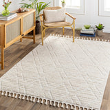 Nora NOA-2308 5'3" x 7' Machine Woven Rug NOA2308-537 Livabliss Surya