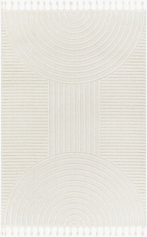 Livabliss Nora Collection High Pile Polypropylene Area Rug with Fringe for Modern Living Spaces Light Gray, Cre 8'10" x 12' NOA2309-81012