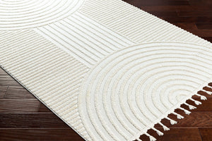 Livabliss Nora Collection High Pile Polypropylene Area Rug with Fringe for Modern Living Spaces Light Gray, Cre 8'10" x 12' NOA2309-81012