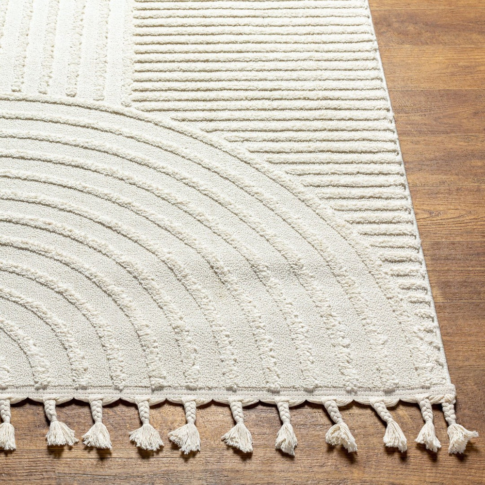 Livabliss Nora Collection High Pile Polypropylene Area Rug with Fringe for Modern Living Spaces Light Gray, Cre 8'10" x 12' NOA2309-81012