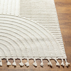 Livabliss Nora Collection High Pile Polypropylene Area Rug with Fringe for Modern Living Spaces Light Gray, Cre 8'10" x 12' NOA2309-81012