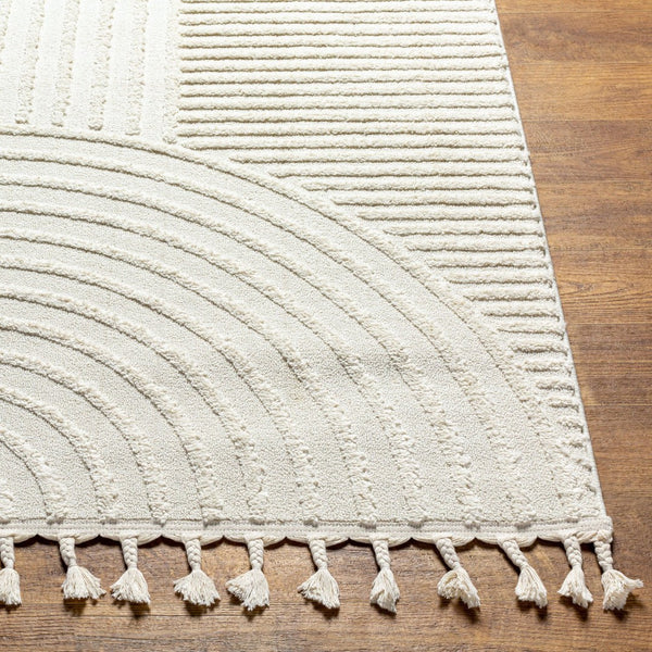 Livabliss Nora Collection High Pile Polypropylene Area Rug with Fringe for Modern Living Spaces Light Gray, Cre 8'10" x 12' NOA2309-81012