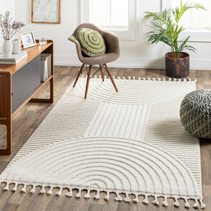 Livabliss Nora Collection High Pile Polypropylene Area Rug with Fringe for Modern Living Spaces Light Gray, Cre 8'10" x 12' NOA2309-81012