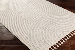 Livabliss Nora Minimalist Polypropylene Area Rug with Fringe Turkish Woven Bedroom Living Room Light Gray, Cre 3'11" x 5'7" NOA2310-31157