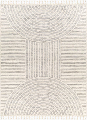 Livabliss Nora Minimalist Polypropylene Area Rug with Fringe Turkish Woven Bedroom Living Room Light Gray, Cre 3'11" x 5'7" NOA2310-31157