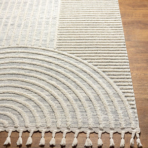 Livabliss Nora Minimalist Polypropylene Area Rug with Fringe Turkish Woven Bedroom Living Room Light Gray, Cre 3'11" x 5'7" NOA2310-31157