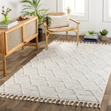 Nora NOA-2311 7'10" x 10' Machine Woven Rug NOA2311-71010 Livabliss Surya