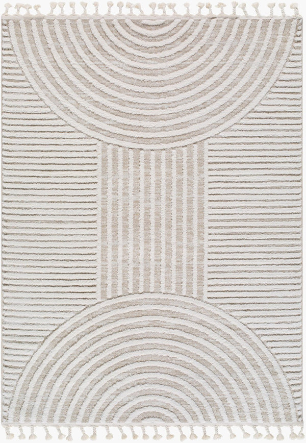Livabliss Nora High Pile Polypropylene Area Rug with Fringe Trim for Living Room or Bedroom Cream, Light Be 3'11" x 5'7" NOA2312-31157