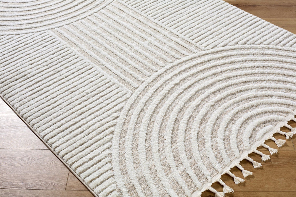 Livabliss Nora High Pile Polypropylene Area Rug with Fringe Trim for Living Room or Bedroom Cream, Light Be 3'11" x 5'7" NOA2312-31157