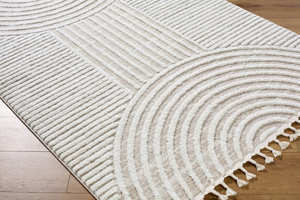 Livabliss Nora High Pile Polypropylene Area Rug with Fringe Trim for Living Room or Bedroom Cream, Light Be 3'11" x 5'7" NOA2312-31157