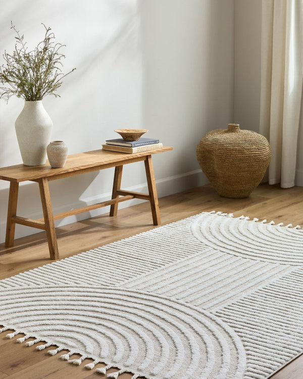 Livabliss Nora High Pile Polypropylene Area Rug with Fringe Trim for Living Room or Bedroom Cream, Light Be 3'11" x 5'7" NOA2312-31157