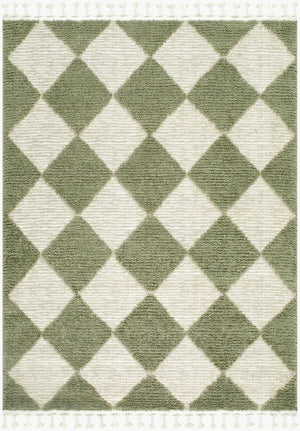 Livabliss Nora Polypropylene Area Rug with Fringe Detail Woven in Turkey for Modern Interiors Olive, Dusty Sa 7'10" x 10' NOA2314-71010