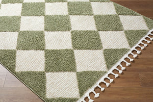 Livabliss Nora Polypropylene Area Rug with Fringe Detail Woven in Turkey for Modern Interiors Olive, Dusty Sa 7'10" x 10' NOA2314-71010