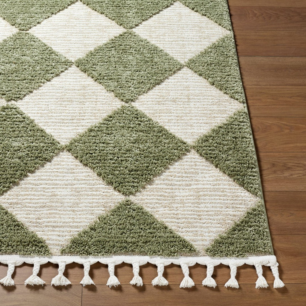 Livabliss Nora Polypropylene Area Rug with Fringe Detail Woven in Turkey for Modern Interiors Olive, Dusty Sa 7'10" x 10' NOA2314-71010