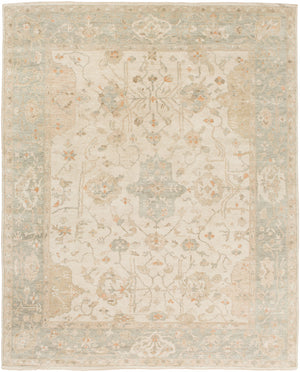 Normandy NOY-8002 8' x 10' Handmade Rug NOY8002-810  Light Gray, Light Sage, Cream, Tan, Medium Brown Surya