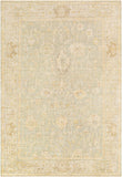 Normandy NOY-8009 6' x 9' Handmade Rug NOY8009-69  Taupe, Beige, Tan, Olive, Medium Gray, Yellow Surya
