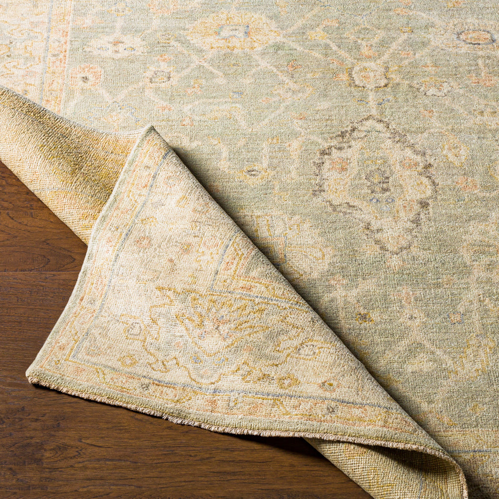 Normandy NOY-8009 6' x 9' Handmade Rug NOY8009-69  Taupe, Beige, Tan, Olive, Medium Gray, Yellow Surya