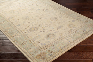 Normandy NOY-8010 8' x 10' Handmade Rug NOY8010-810  Seafoam, Beige, Dark Brown, Light Brown, Yellow, Denim Surya