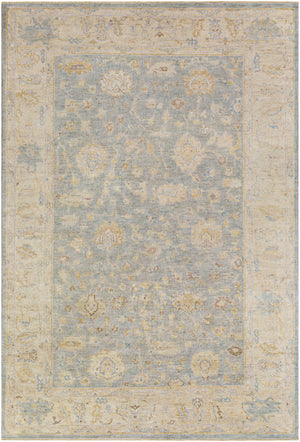 Normandy NOY-8011 6' x 9' Handmade Rug NOY8011-69  Oatmeal, Taupe, Pale Blue, Blue, Medium Brown, Beige Surya