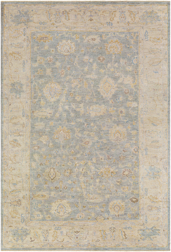Normandy NOY-8011 6' x 9' Handmade Rug NOY8011-69  Oatmeal, Taupe, Pale Blue, Blue, Medium Brown, Beige Surya
