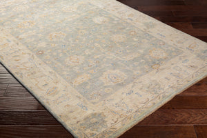 Normandy NOY-8011 8' x 10' Handmade Rug NOY8011-810  Oatmeal, Taupe, Pale Blue, Blue, Medium Brown, Beige Surya