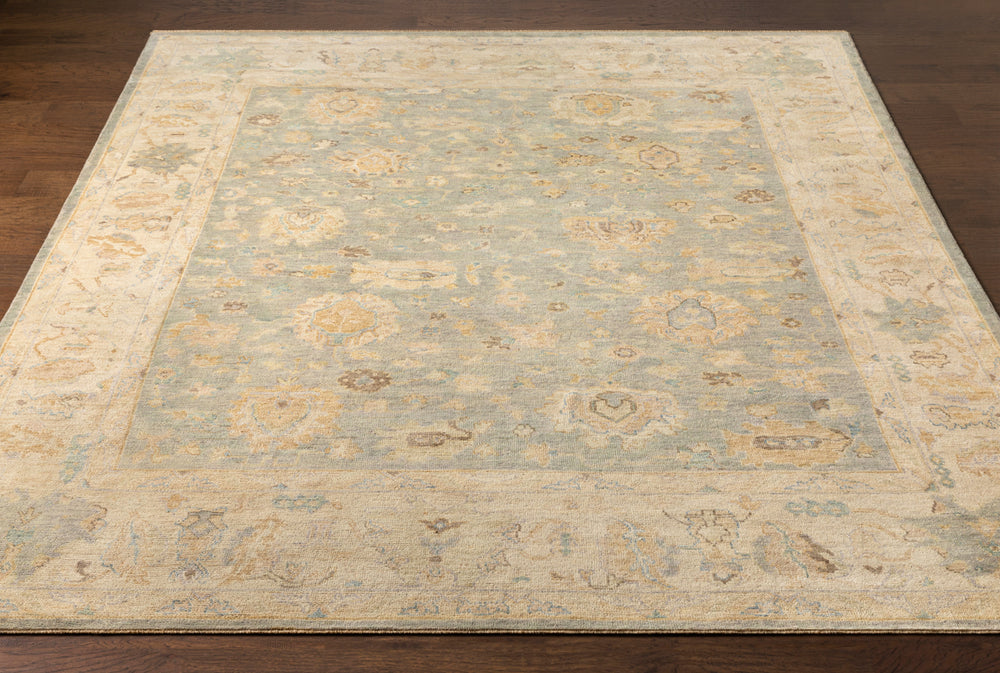 Normandy NOY-8011 6' x 9' Handmade Rug NOY8011-69  Oatmeal, Taupe, Pale Blue, Blue, Medium Brown, Beige Surya