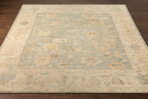 Normandy NOY-8011 8' x 10' Handmade Rug NOY8011-810  Oatmeal, Taupe, Pale Blue, Blue, Medium Brown, Beige Surya