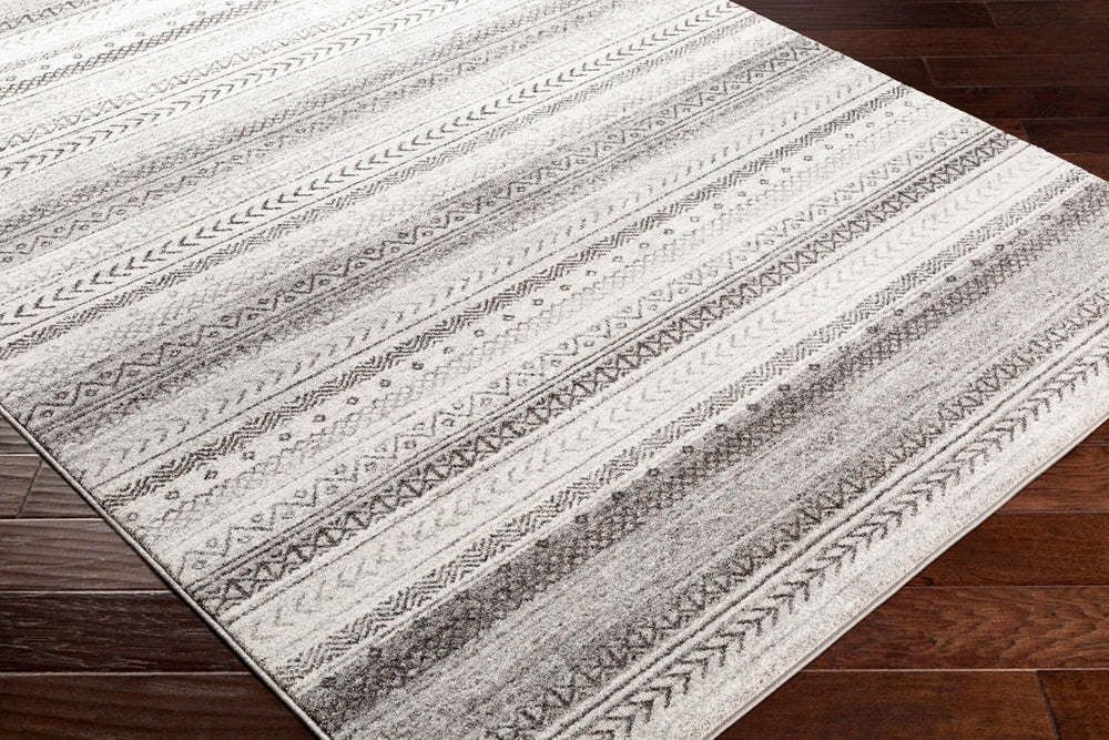 Livabliss Nepali Traditional Polypropylene Area Rug Medium Pile for Living and Dining Rooms NPI2307-93123