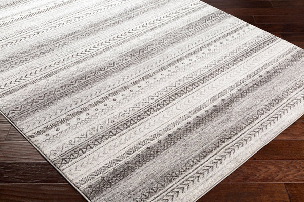 Livabliss Nepali Traditional Polypropylene Area Rug Medium Pile for Living and Dining Rooms NPI2307-93123