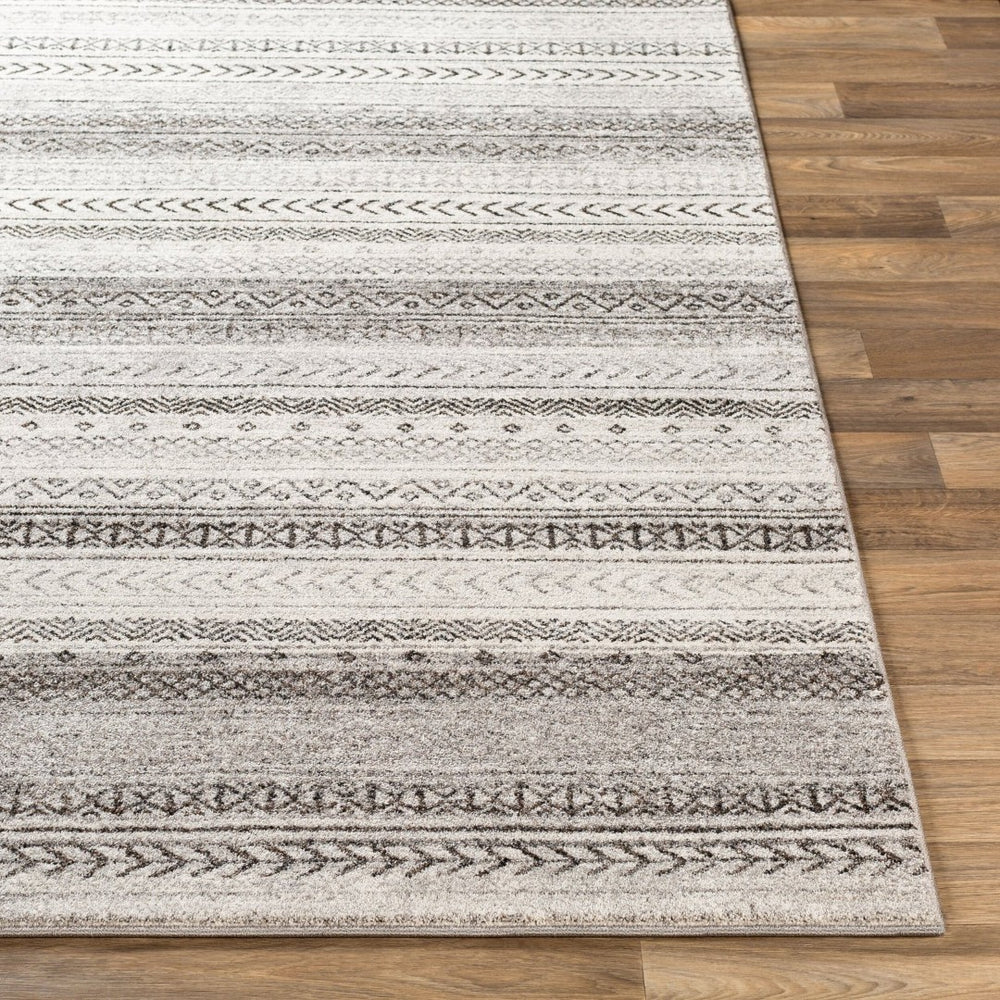 Livabliss Nepali Traditional Polypropylene Area Rug Medium Pile for Living and Dining Rooms NPI2307-93123