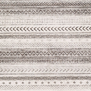 Livabliss Nepali Traditional Polypropylene Area Rug Medium Pile for Living and Dining Rooms NPI2307-93123