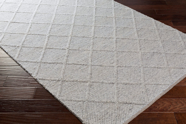 Surya Napels Npl-2300 Handmade 10' X 14' Viscose-wool Rug - Timeless, Durable Elegance For Modern Homes Charcoal Wool,Viscose Npl2304-35