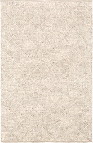 Surya Napels Npl-2300 Handmade 10' X 14' Viscose-wool Rug - Timeless, Durable Elegance For Modern Homes Light Beige Wool,Viscose Npl2305-23