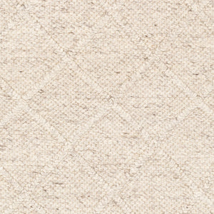 Surya Napels Npl-2300 Handmade 10' X 14' Viscose-wool Rug - Timeless, Durable Elegance For Modern Homes Light Beige Wool,Viscose Npl2305-23