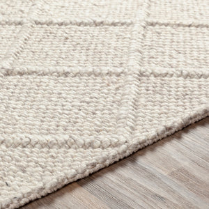 Surya Napels Npl-2300 Handmade 10' X 14' Viscose-wool Rug - Timeless, Durable Elegance For Modern Homes Light Beige Wool,Viscose Npl2305-23