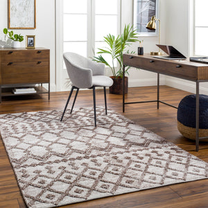 Napoli NPO-2300 9' x 12' Handmade Rug NPO2300-912  Off-White, Brown, Tan Surya