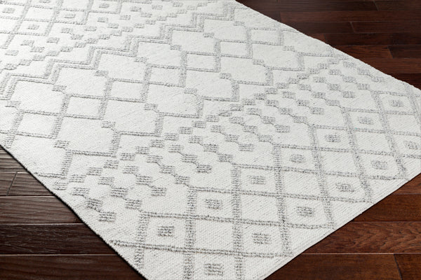Napoli NPO-2302 9' x 12' Handmade Rug NPO2302-912  Light Gray, Light Slate, White, Black Surya