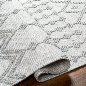 Napoli NPO-2302 9' x 12' Handmade Rug NPO2302-912  Light Gray, Light Slate, White, Black Surya