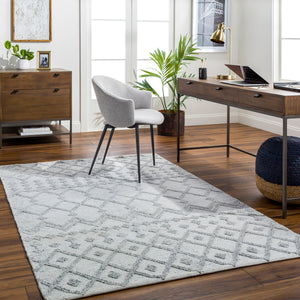 Napoli NPO-2302 9' x 12' Handmade Rug NPO2302-912  Light Gray, Light Slate, White, Black Surya