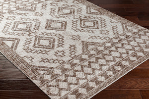 Napoli NPO-2303 9' x 12' Handmade Rug NPO2303-912  Beige, Brown, Tan Surya