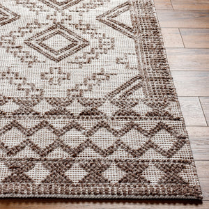 Napoli NPO-2303 9' x 12' Handmade Rug NPO2303-912  Beige, Brown, Tan Surya